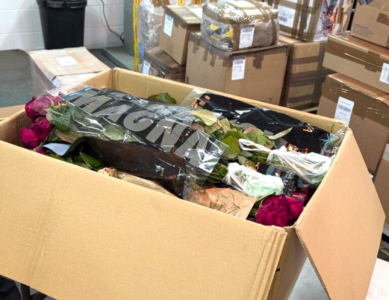 600 Roses shipment